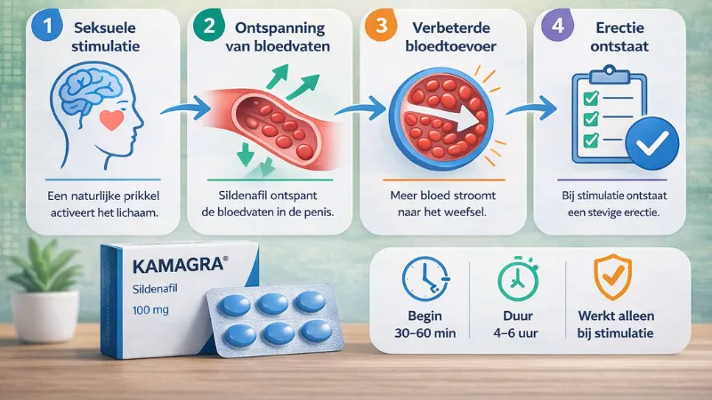 Stapsgewijze uitleg van Kamagra werking met Sildenafil en verbeterde bloedtoevoer