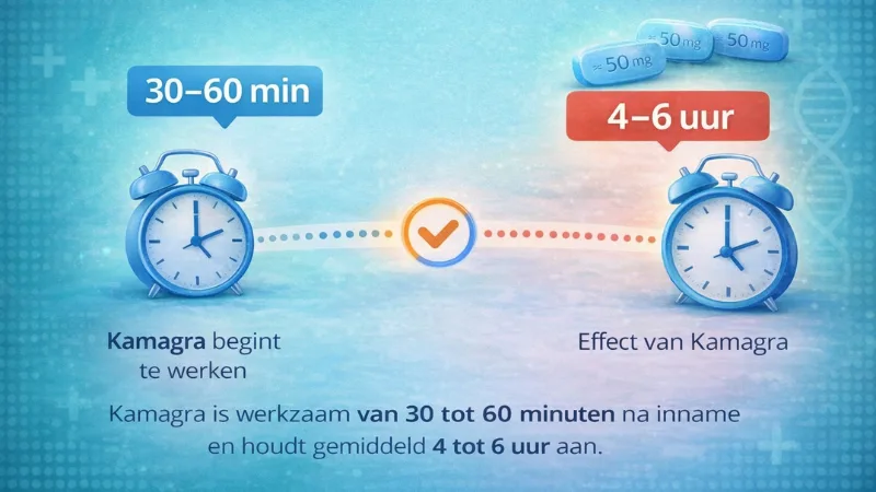 Tijdlijn van hoe lang Kamagra werkt met start na 30 tot 60 minuten en effect van 4 tot 6 uur