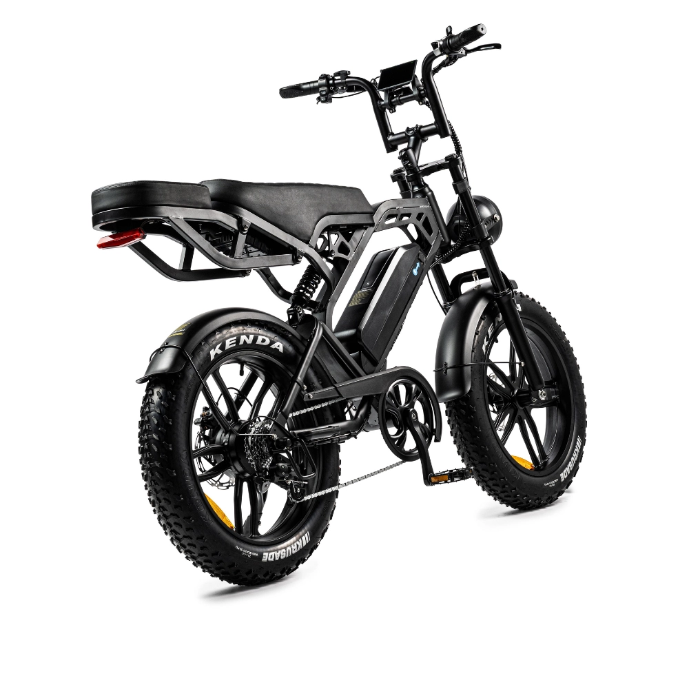 V20 Pro 2025 | Elektrische Fatbike | 250W | Zwart
