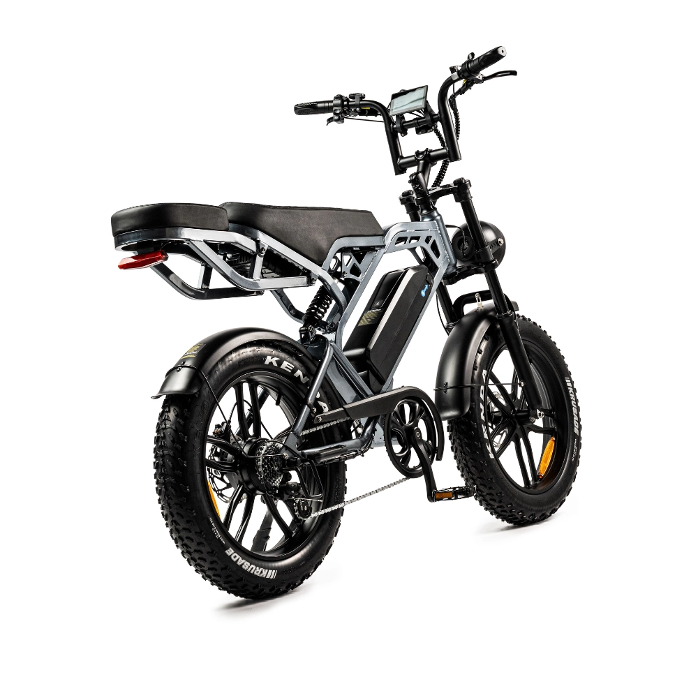 V20 Pro Fatbike | 250W | Donkergrijs | Elektrische fatbike